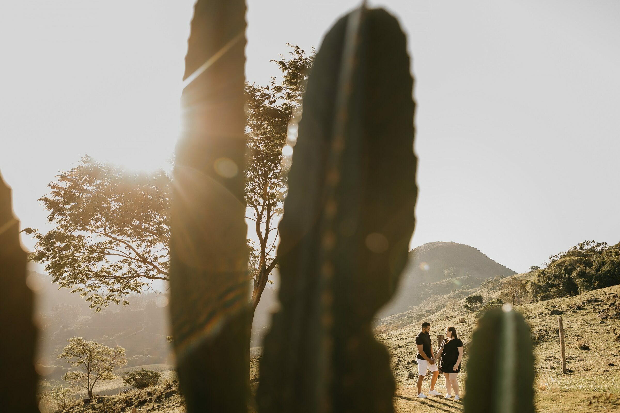 Foto de MASSUCO FOTOGRAFIA 17