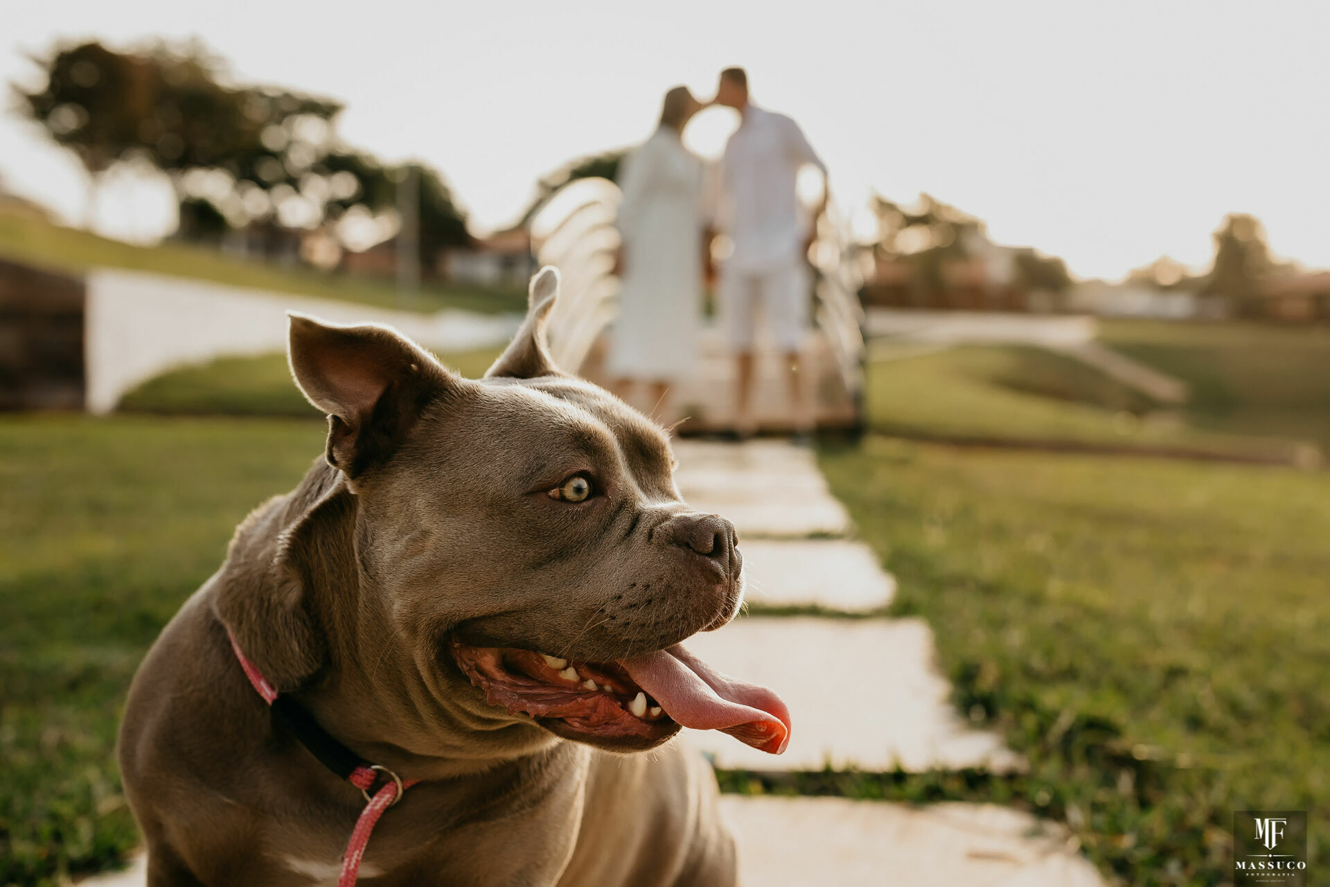 Foto PRÉ WEDDING NATÁLIA E KADU  - Imagem 17