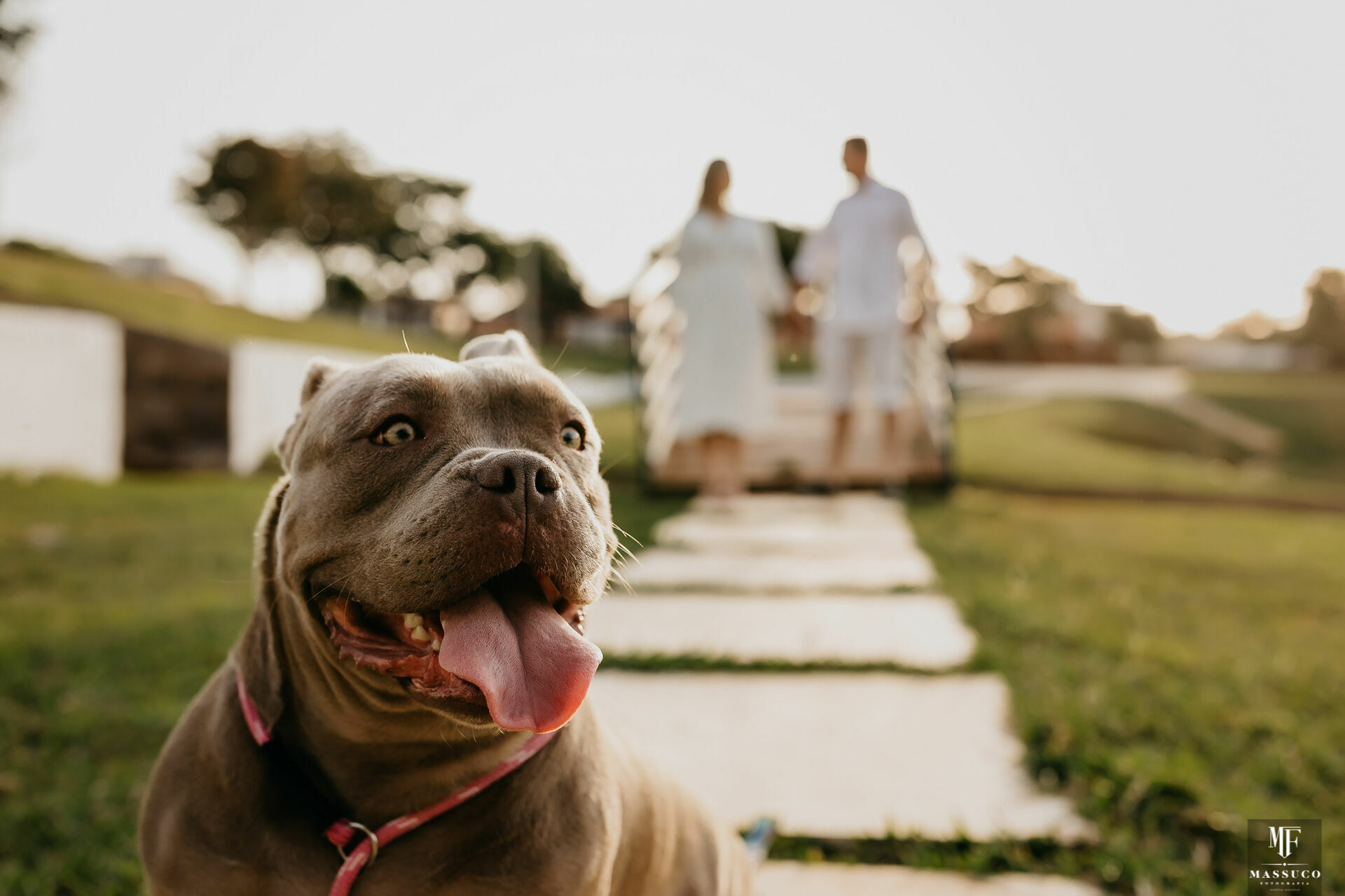 Foto PRÉ WEDDING NATÁLIA E KADU  - Imagem 19
