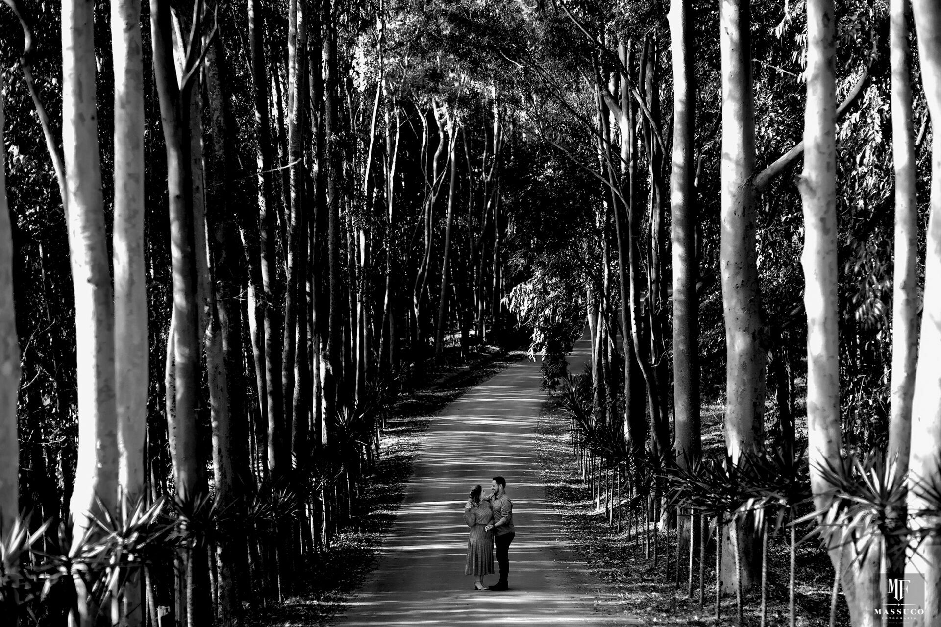 Foto PRÉ WEDDING FERNANDA E FELIPE - Imagem 19