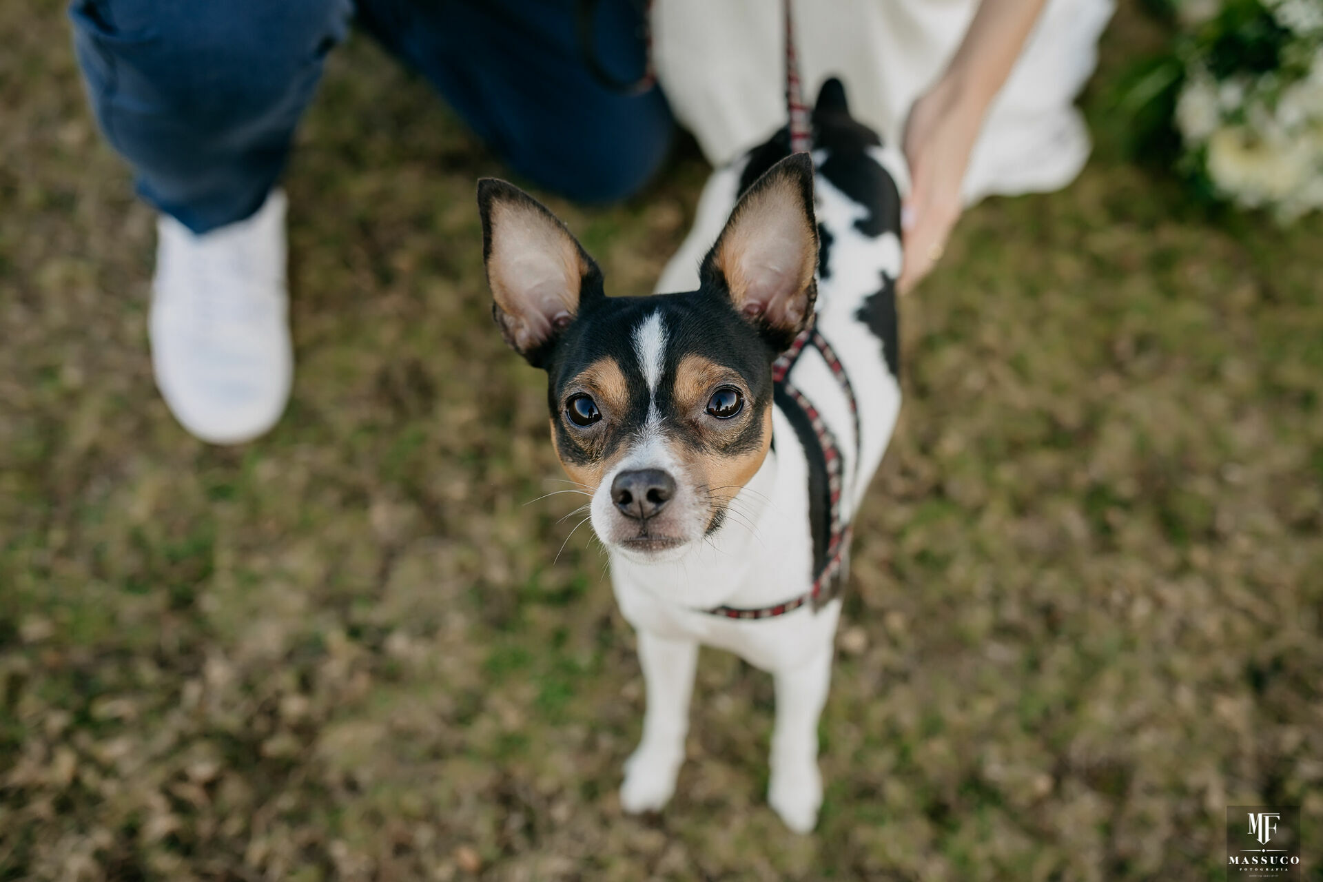 Foto PRÉ WEDDING ANA FLÁVIA E JEFERSON - Imagem 21