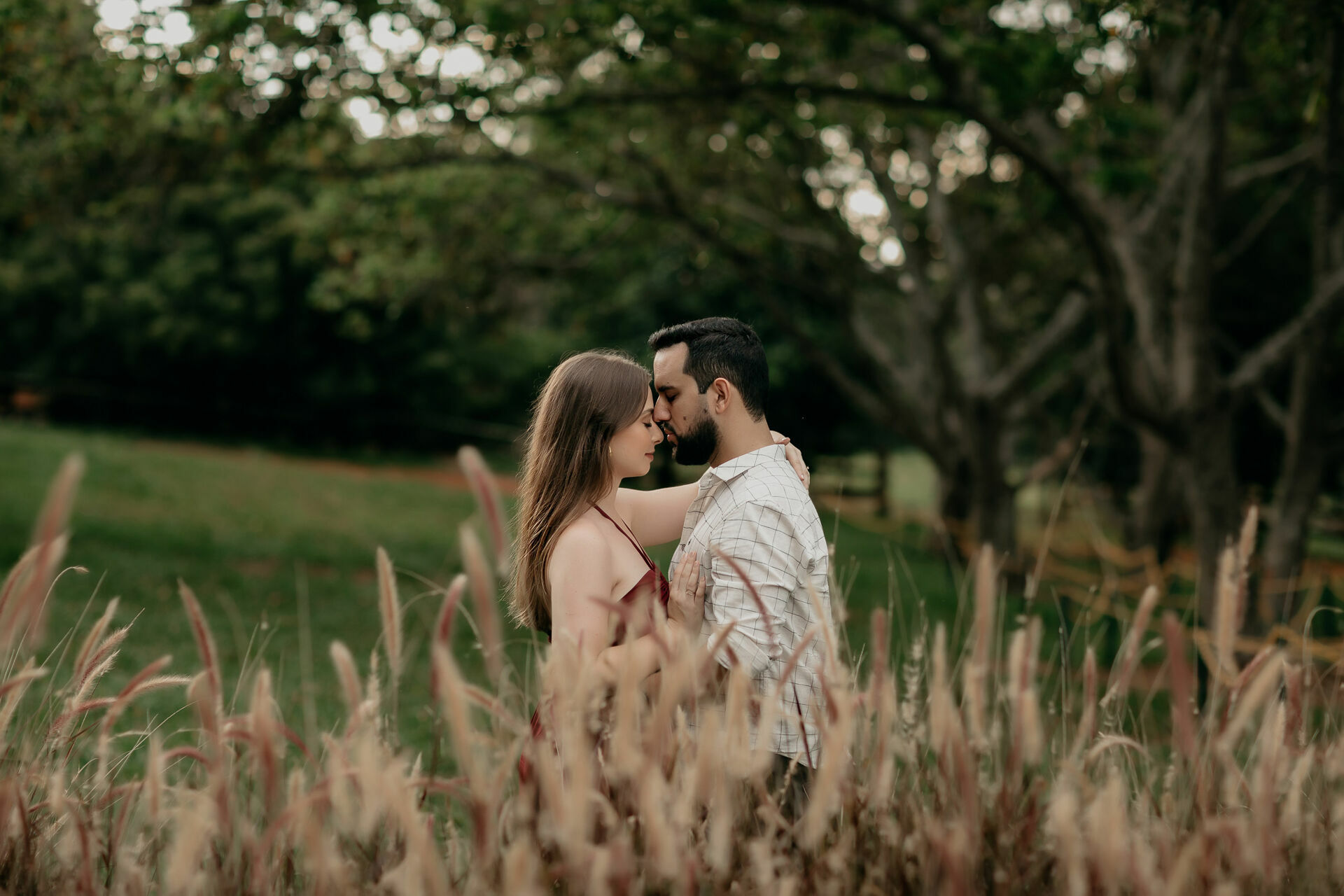 Foto LAIS E LUIS CLEBER - Imagem 33