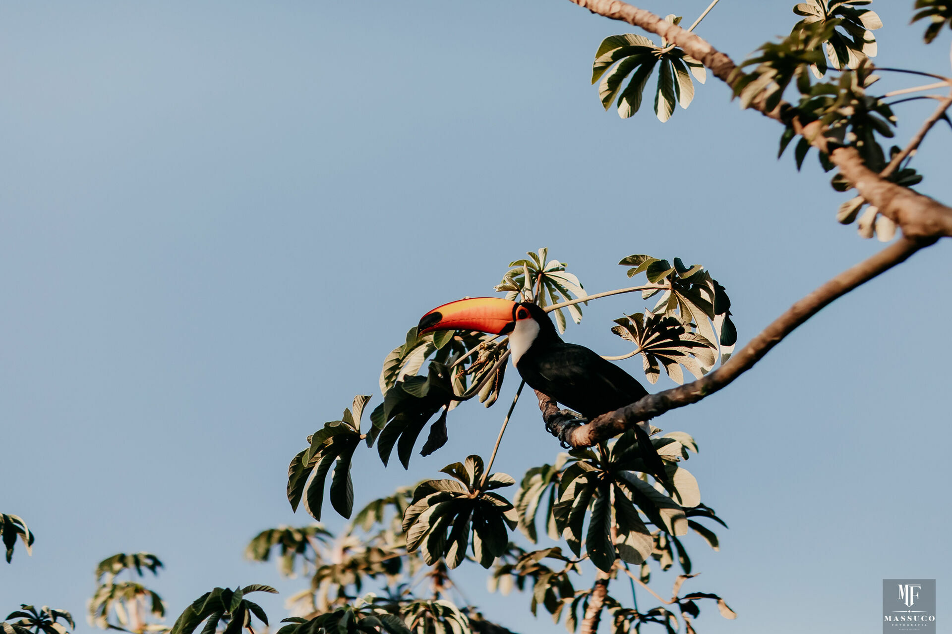 Foto CLAUDIA E SAMUEL - PRÉ WEDDING - Imagem 46
